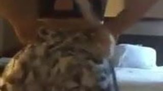 Loira amadora rabuda sensualizando gostoso